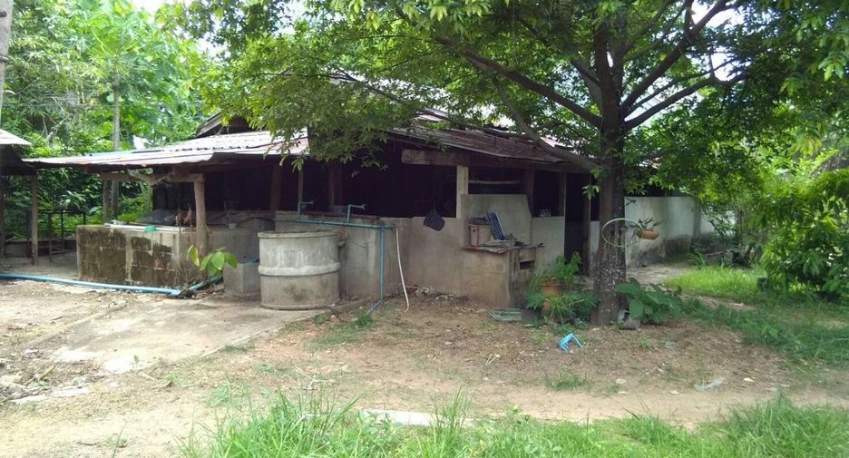 À vendre terrain à Sop Prap, Lampang