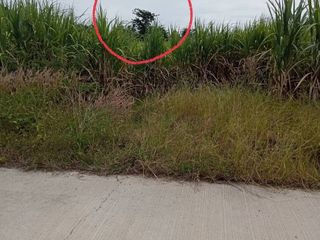 For sale land in Mueang Lop Buri, Lopburi