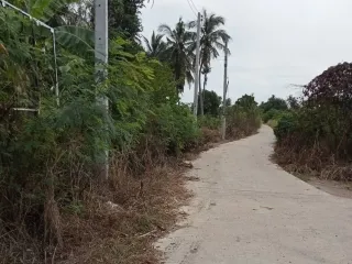 For sale land in Mueang Lop Buri, Lopburi