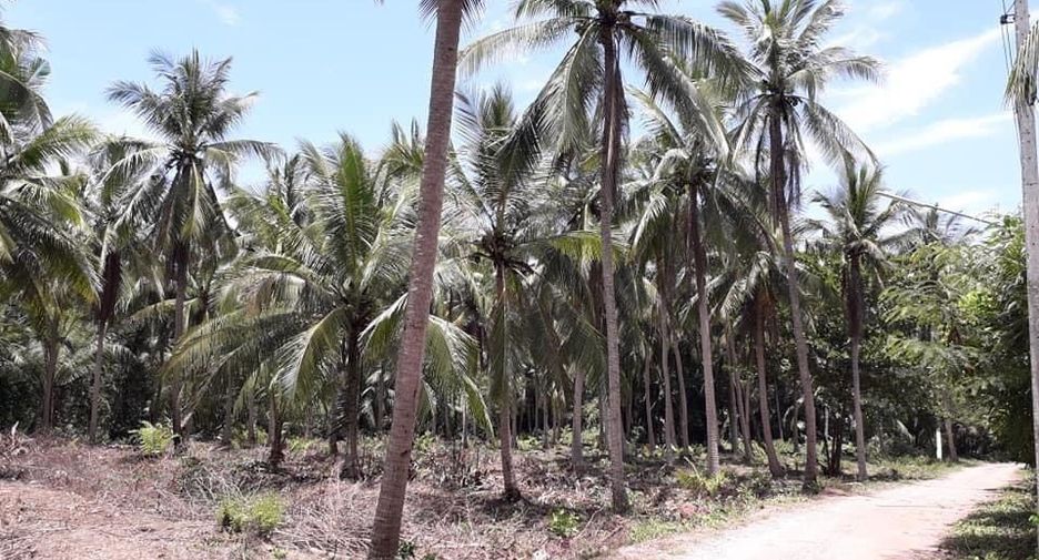 For sale land in Mueang Samut Songkhram, Samut Songkhram