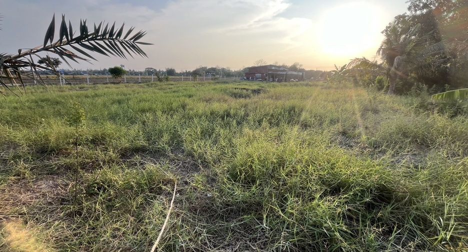 For sale land in Bang Nam Priao, Chachoengsao