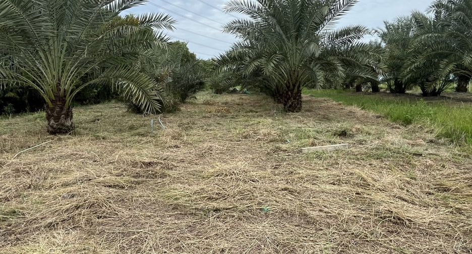 For sale land in Bang Nam Priao, Chachoengsao