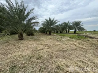 Grundstück zum Kauf in Bang Nam Priao, Chachoengsao