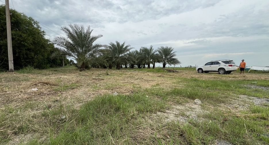 For sale land in Bang Nam Priao, Chachoengsao