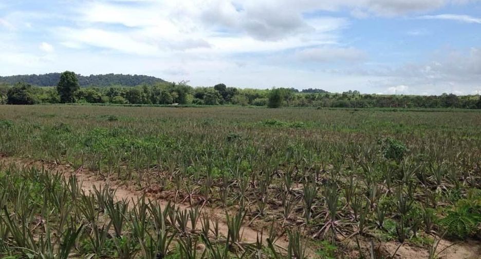 For sale land in Klaeng, Rayong