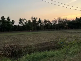 出售 土地 在 Mueang Phetchabun, Phetchabun