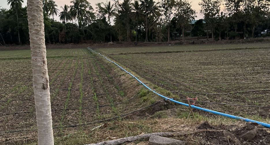 For sale land in Mueang Phetchabun, Phetchabun