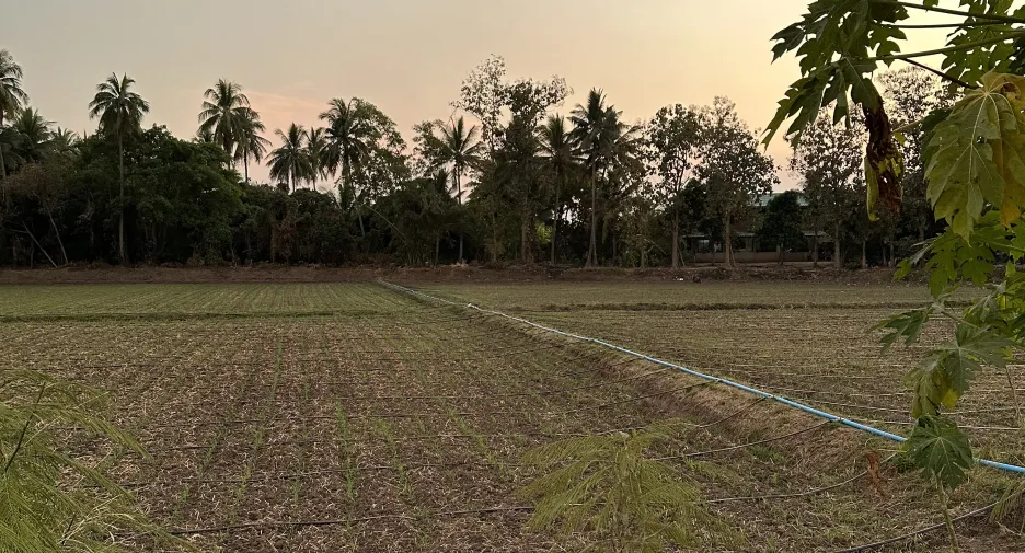 For sale land in Mueang Phetchabun, Phetchabun