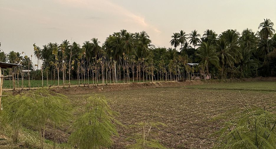 For sale land in Mueang Phetchabun, Phetchabun