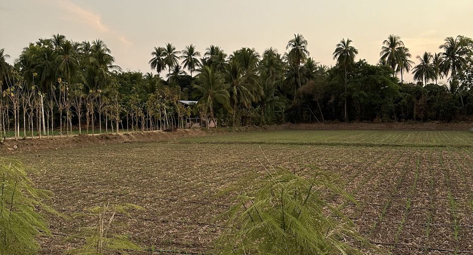 For sale land in Mueang Phetchabun, Phetchabun