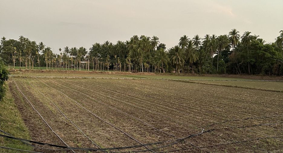 For sale land in Mueang Phetchabun, Phetchabun