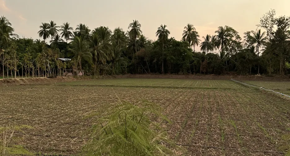 For sale land in Mueang Phetchabun, Phetchabun