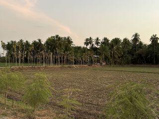 出售 土地 在 Mueang Phetchabun, Phetchabun