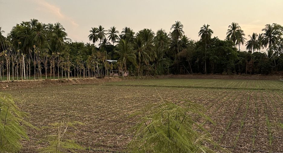 For sale land in Mueang Phetchabun, Phetchabun