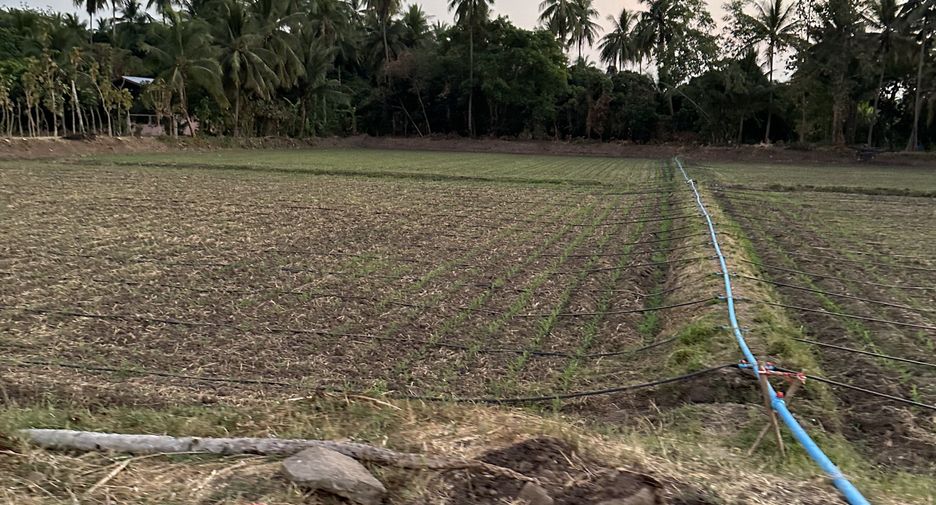 For sale land in Mueang Phetchabun, Phetchabun