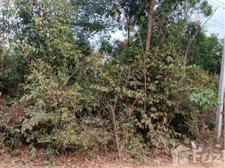 For sale land in Mueang Ubon Ratchathani, Ubon Ratchathani