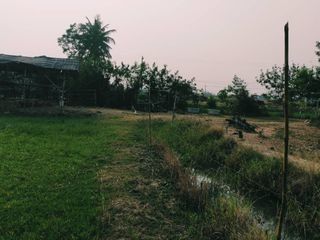 For sale land in Doem Bang Nang Buat, Suphan Buri