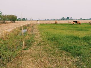 For sale land in Doem Bang Nang Buat, Suphan Buri