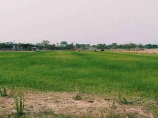 For sale land in Doem Bang Nang Buat, Suphan Buri