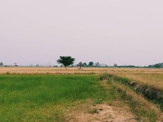 For sale land in Doem Bang Nang Buat, Suphan Buri