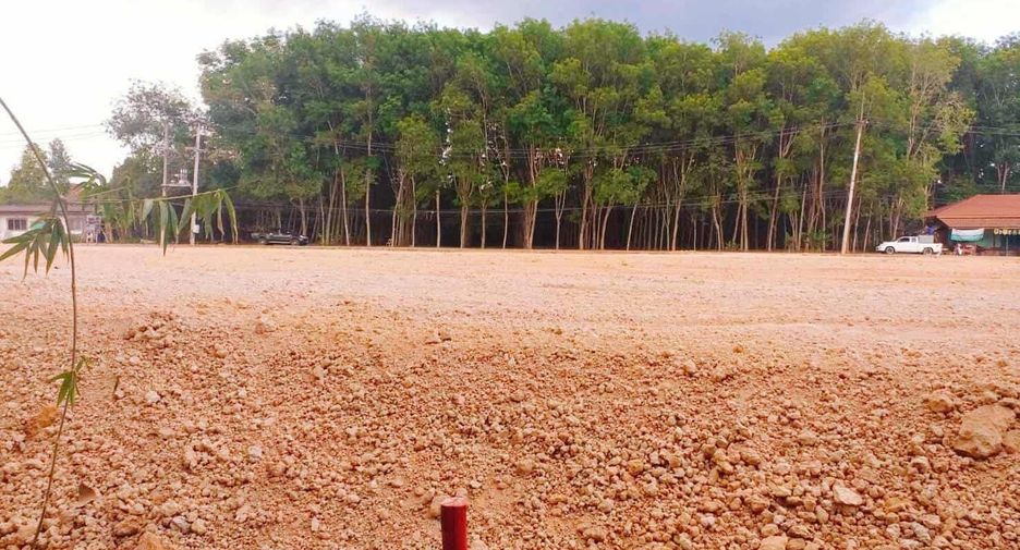 For sale land in Wiang Sa, Surat Thani