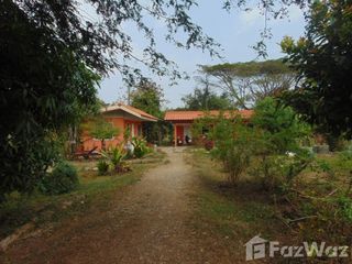 For sale land in Thung Chang, Nan