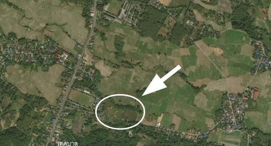 For sale land in Thung Chang, Nan