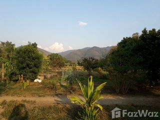 For sale land in Thung Chang, Nan