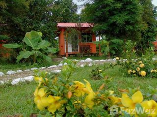 For sale land in Thung Chang, Nan