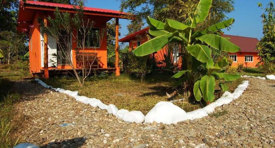 For sale land in Thung Chang, Nan