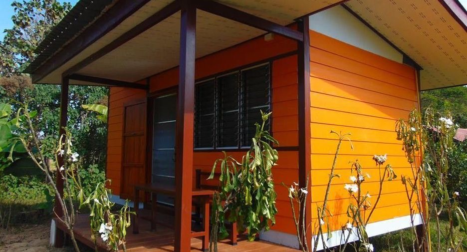 For sale land in Thung Chang, Nan