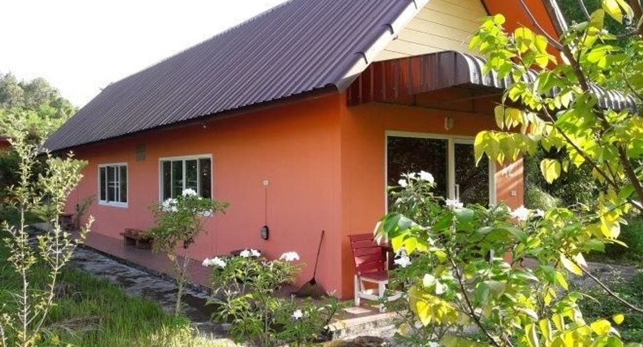 For sale land in Thung Chang, Nan