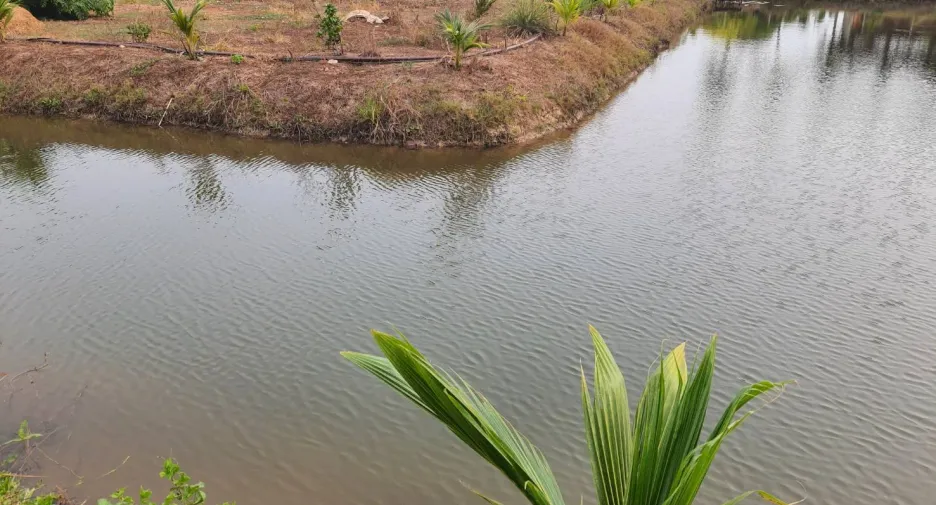 For sale land in Bang Len, Nakhon Pathom
