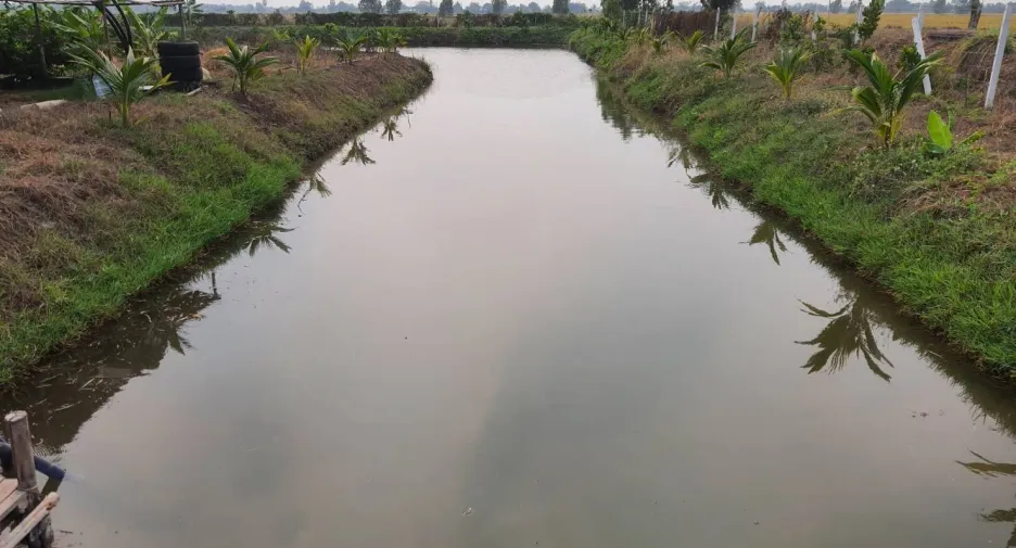 For sale land in Bang Len, Nakhon Pathom