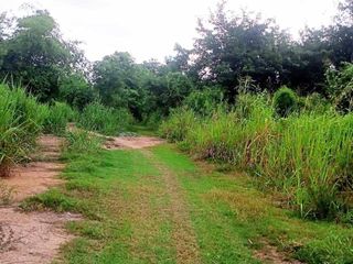 出售 土地 在 Mueang Nakhon Sawan, Nakhon Sawan