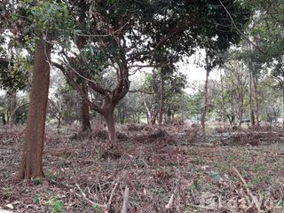 For sale land in Mueang Trat, Trat