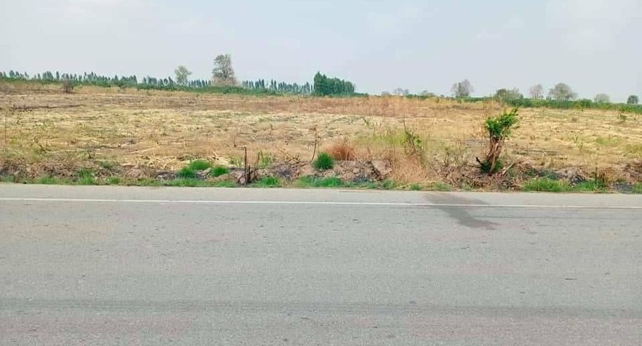 For sale land in Noen Kham, Chainat
