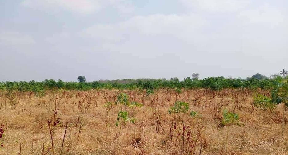 For sale land in Noen Kham, Chainat