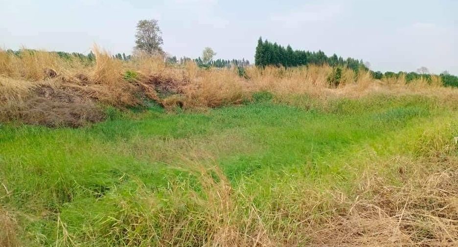 For sale land in Noen Kham, Chainat