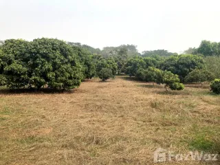 For sale land in Chiang Dao, Chiang Mai