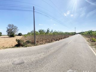Terreno en venta en Phanat Nikhom, Chonburi