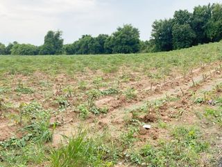 Terreno en venta en Phanat Nikhom, Chonburi