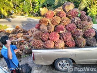 Terreno en venta en Khlong Thom, Krabi