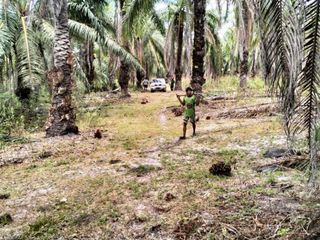 Terreno en venta en Khlong Thom, Krabi