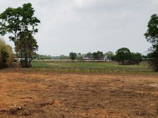 出售 土地 在 Kabin Buri, Prachin Buri