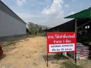 For sale land in Dan Chang, Suphan Buri