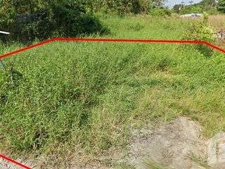 出售 土地 在 Phanat Nikhom, Chon Buri