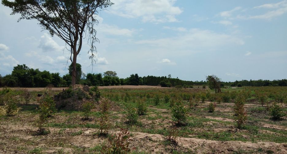 For sale land in Watthana Nakhon, Sa Kaeo
