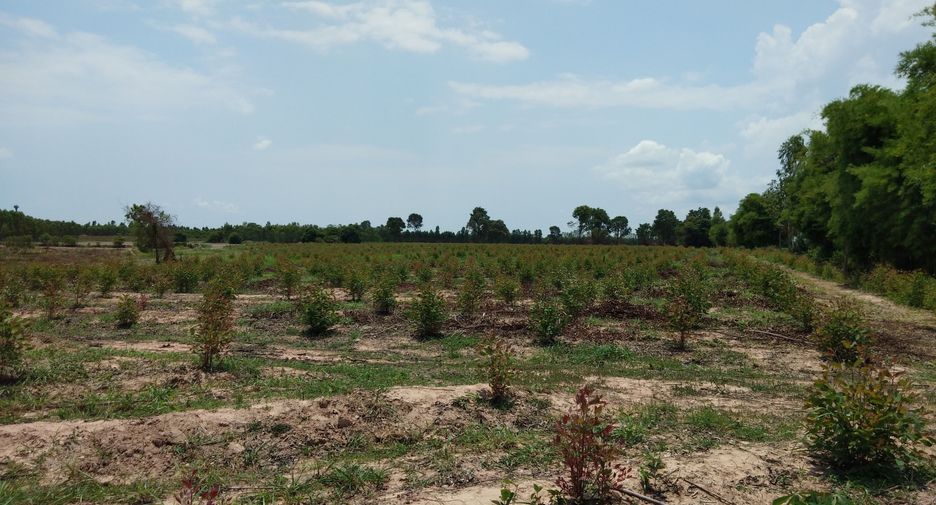 For sale land in Watthana Nakhon, Sa Kaeo