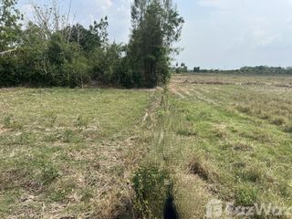 For sale land in Phanat Nikhom, Chonburi